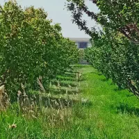 ۳۵۰ متر باغچه پردرخت در شهریار