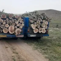 برش وخرید انواع چوب