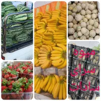 طالبی توسبز ۲۵ تومن/ موز خارجی ۲۱۰ تومن