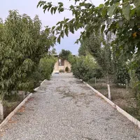باغچه تنکمان