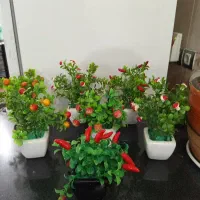 هفت عدد گل دان میوه های مصنوعی