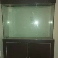 آکواریوم