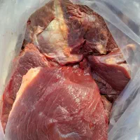 گوشت گرم گوساله