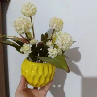 گلدون