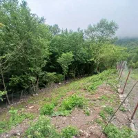 ۴هزار و ۵۰۰ متر زمین واقع در مرس .مرزن اباد