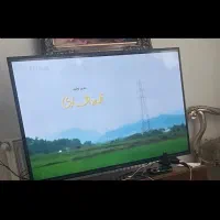 تلویزیون