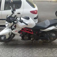 بنلی300 خشک 96