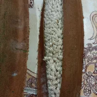 بو نخل|گل و گیاه طبیعی|برازجان, |دیوار