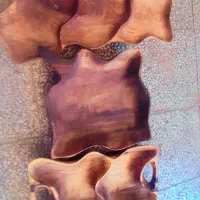 ظرف
