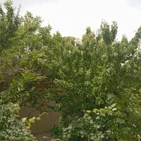دنبال کارهستم