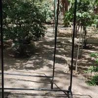 رگال