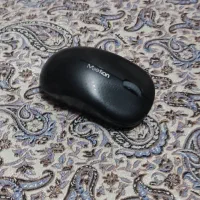 موس کاملا سالم و نو