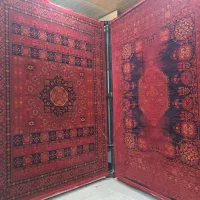 بیا ببر به قیمت کارخانه ارسال رایگان