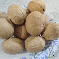 گردو چینی