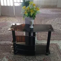 زیر تلویزیونی