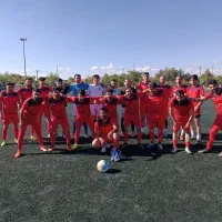 فوتبال حرفه ای