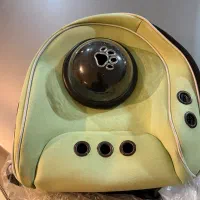 کیف گربه