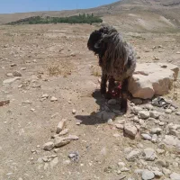 نبودن جا