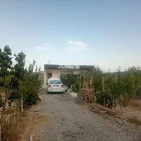 زمین-دارای-بنا-پر-از-درخت-مثمر