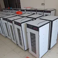 دستگاه جوجه کشی-پرنــدگان زیـنتیـtaq۰۰