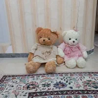 دوتا خرس بزرگ