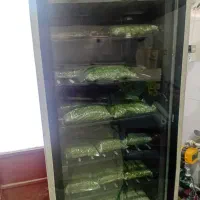 سبزی مارکت ریحون