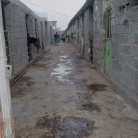 استخدام کارگر