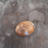 نگین حرم امام رضا