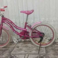 دوچرخه 20