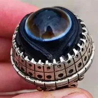 سه پوست کهنه پنجاه گرمی،دقیقا مشابه چشم انسان