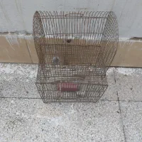 قفس پرنده