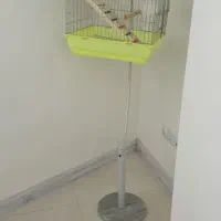 قفس پرنده