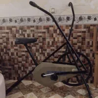 چرخ ثابت ورزشی