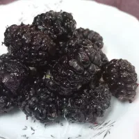 شاتوت درشت و خوشمزه