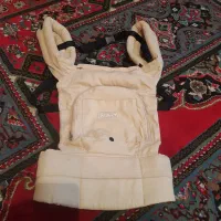 آغوشی و کریر