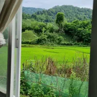 اجاره ویلاجنگلی دوخواب دربست درجاده قعله رودخان