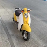 پاکشتی اسکوپی و وینو