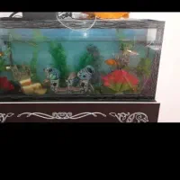 آکواریوم بزرگ معاوضه با هرچی