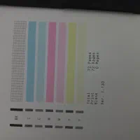پیرینتر کنون g3410  سالم
