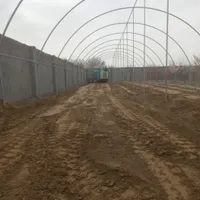 خدمات‌ خاکبرداری اجاره مینی لودر بابکت توماس خاور|خدمات حمل و نقل|مشهد, عبادی|دیوار