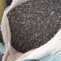 خرید و جم آوری کود کبوتر وحشی کوهی