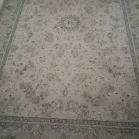 قالی ۶ متری