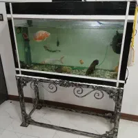 آکواریوم
