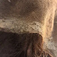 کلاه‌گیس موی طبیعی