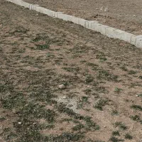 زمین-برای-احداث-گلخانه