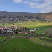 فروش زمین مسکونی و دونبش در دودانگه مرگاب سفلی