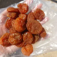 کشته آلو بخارا