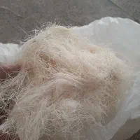 پنبه برای زیر تخم قناری سالنی سهره  فنچ حدود ۸کیلو