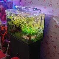 اکواریم درجه یک