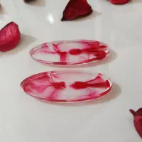 گیره سر مجلسی
